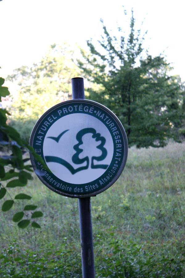 Cocon D'Argile Bed & Breakfast Bischoffsheim Екстериор снимка